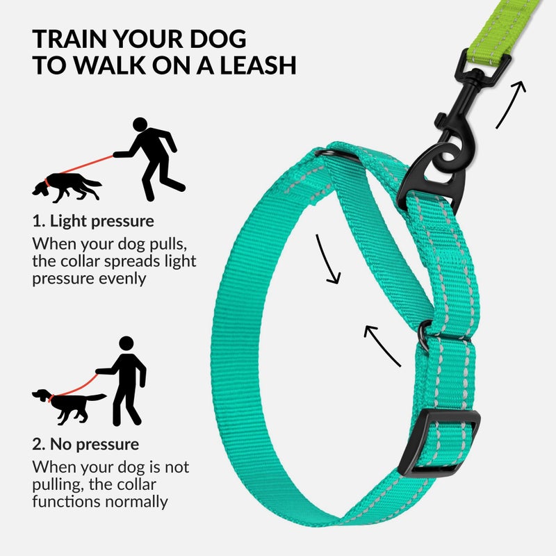 Collardirect Reflective Martingale Dog Collar Nylon Training Collars for Small Medium Large Dogs Puppy Pink Orange Green (M, Neck Size 13"-18", Mint Green) - Image 2